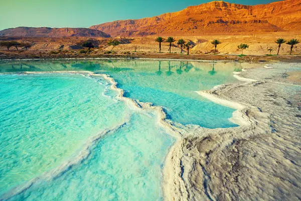 Dead Sea Salt Face & Body Scrubs - Image 5