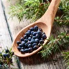 A wooden spoon with blueberries on it