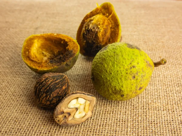 A group of fruit sitting on top of a table.