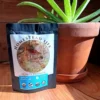 100% ORGANIC WHOLE COFFEE BEAN - Image 3